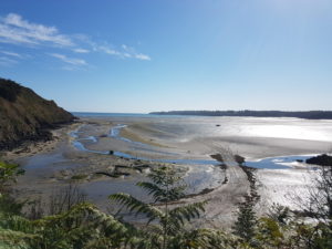 Plage argentée en matinée