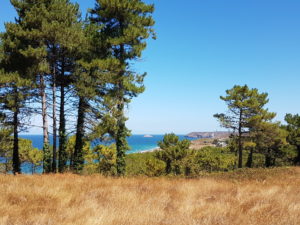 Vue sur le Cap Frehel